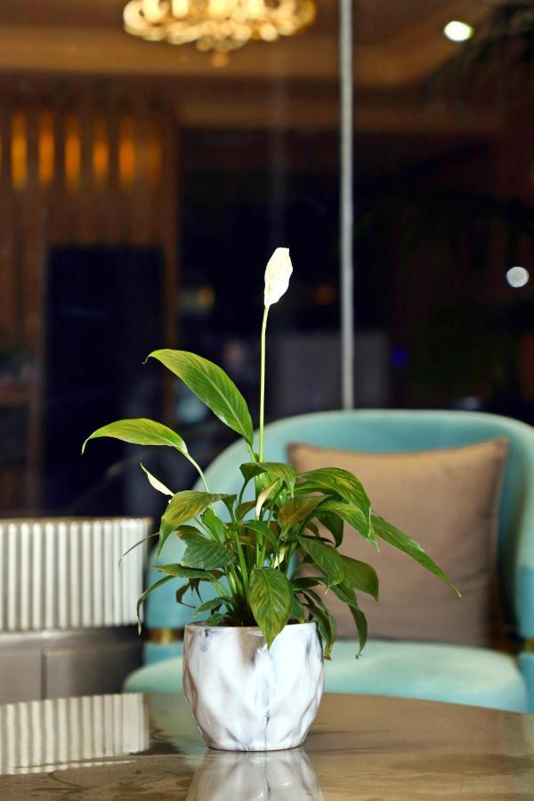 Blusalzz Residence Amritsar Eksteriør billede
